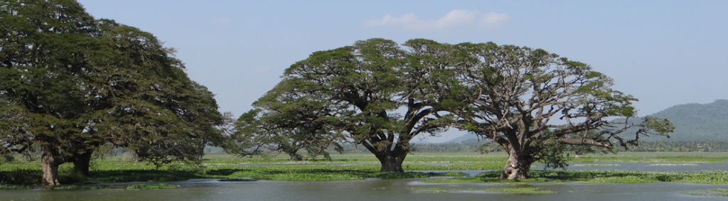 Sri Lanka