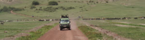 Tanzanie