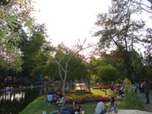 Parc Nong Buak Hat - Chiang Mai