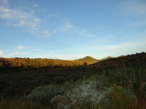 Parc national de Horton Plains
