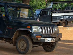 Safari