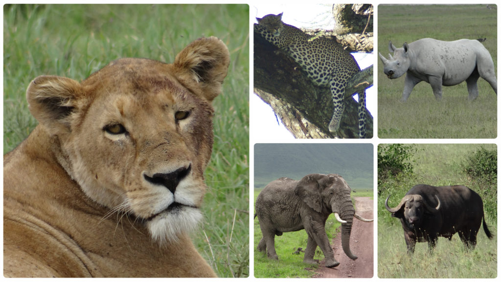 BIG 5