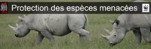 Protection animale
