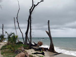 Parc National de Cahuita